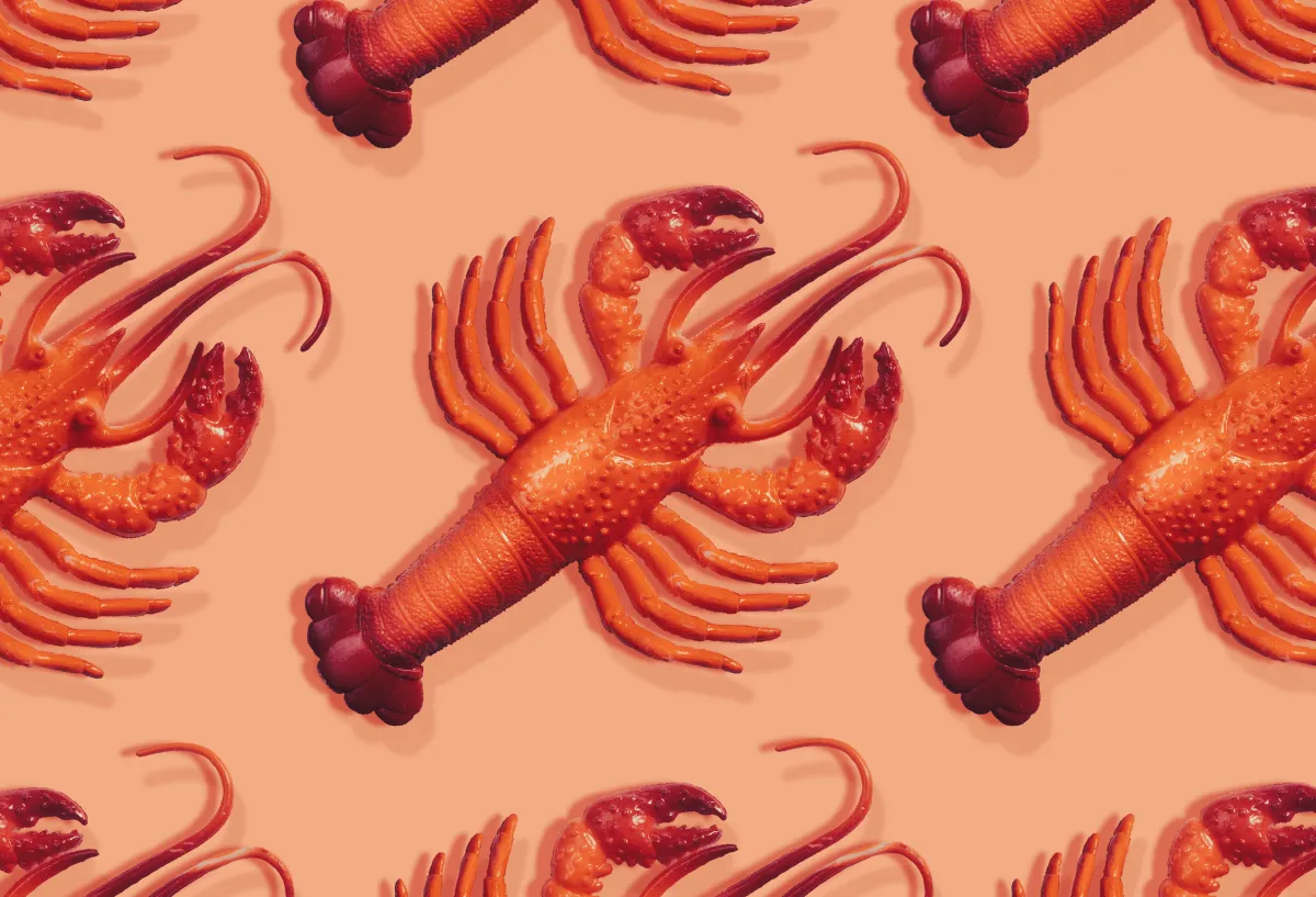 Moltbot, asistente personal de inteligencia artificial, ofrece funcionalidades innovadoras pero también plantea desafíos de seguridad