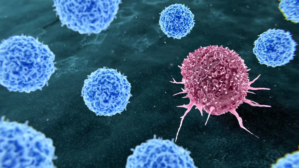 Estudio revela que un tercio del cáncer es prevenible con cambios en el estilo de vida