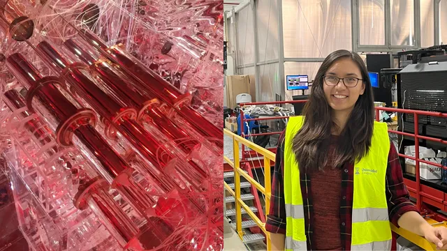 Equipo experimental de detección de partículas usado para contrastar una posible señal de materia oscura